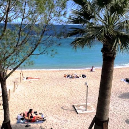 Appartement Hyper Central Et Calme, A 5 Metres De Monaco Beausoleil Dış mekan fotoğraf